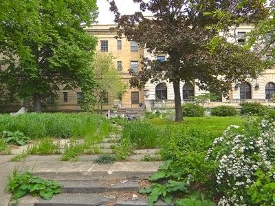 Bronx Neighborhoods Related Reports & Archives BX NYC