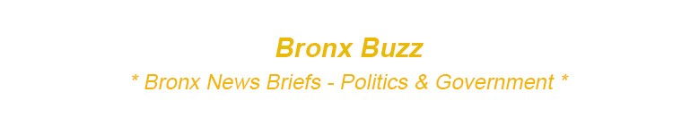 government in the bronx nyc, bronx media, Bronx Political News