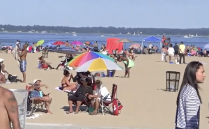 Bronx Parks Sports Climate Change NYC NYS & USA Parks BX NYC