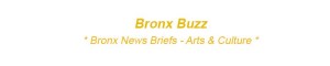 bronx arts culture film fashion theater music concerts bx