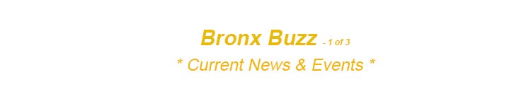 bronx neighborhoods bronx news bronx history nyc