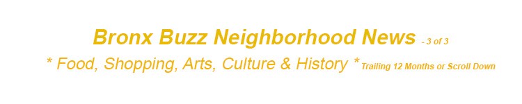bronx neighborhoods bronx news bronx history bx nyc