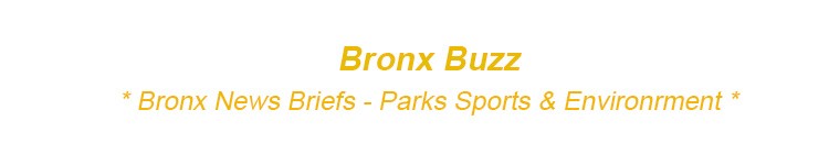 bronx parks sports environment bx climate change bronx nyc