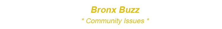 bronx community issues bronx crime bronx schools bronx healthcare bx nyc