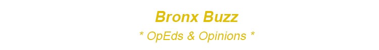 bronx opeds bronx opinions bx nyc