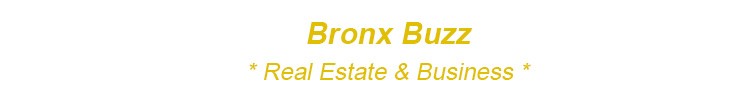 bronx real estate bronx small business & loans bronx realtors bronx real estate developments bx nyc