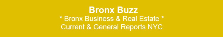 bronx real estate & business bx nyc