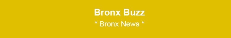 bronx news nyc bronx news websites newspapers bx nyc