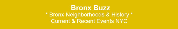 bronx neighborhoods news current recent events bx nyc