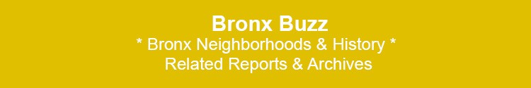 bronx neighborhoods archived events news bx nyc 