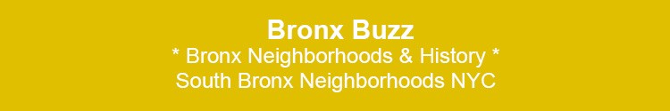 south bronx neighborhoods news & events bx nyc 