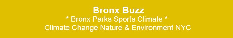 bronx parks sports climate change news & events bx nyc