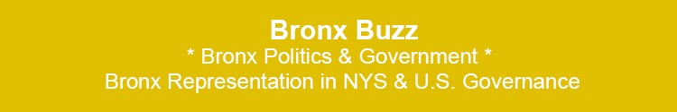bronx politics government bx nyc nys usa representation 