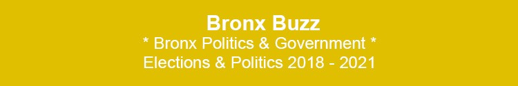 bronx politics government nyc borough presidents governance bx nyc