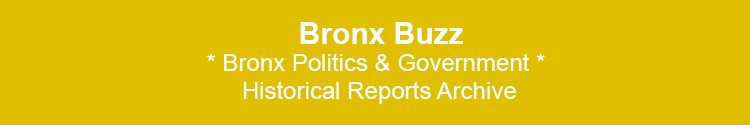 bronx politics government nyc mayor nyc council borough presidents bx nyc