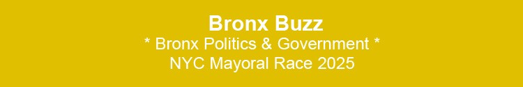 bronx politics government recent political news bx nyc