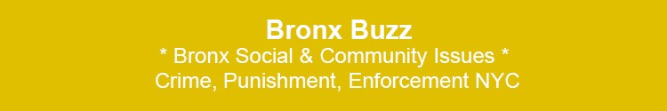 bronx social community issues crime punishment enforcement prevention nypd nyc nys govt bx nyc