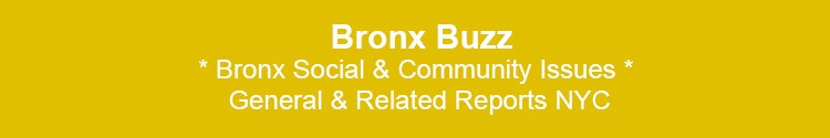 bronx community social issues bx nyc 