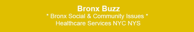 bronx community social issues healthcare bx nyc 