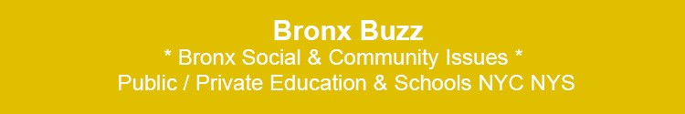 bronx community social issues private public education schools bx nyc